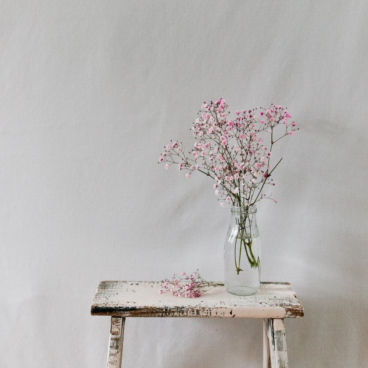 flower, vase, baby's breath, beautiful flowers, natural, flower background, love, floral, beautiful wallpaper, nature, blossom, bloom, soft, flower wallpaper, background, floral background, natural background, texture, summer, green, plants